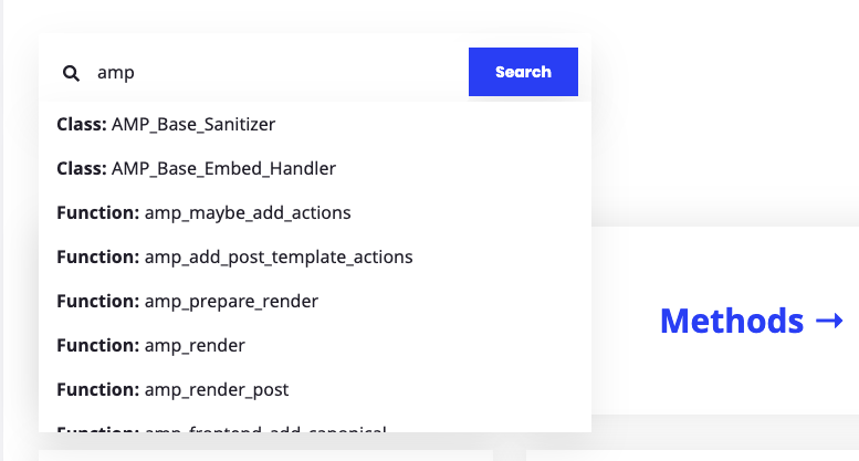 AMP WP Reference Docs Autocomplete Search Field